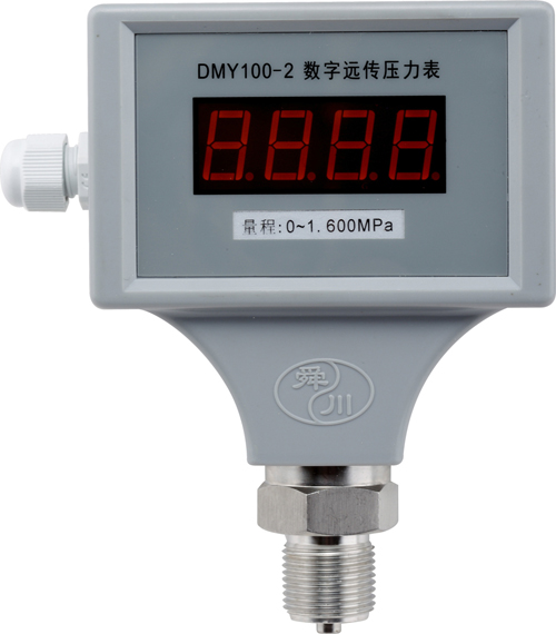 DMY100-2数字远传压力表
