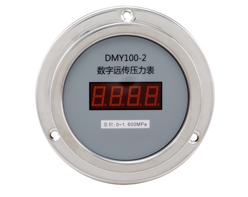 DMY100-2数字远传压力表（轴向）